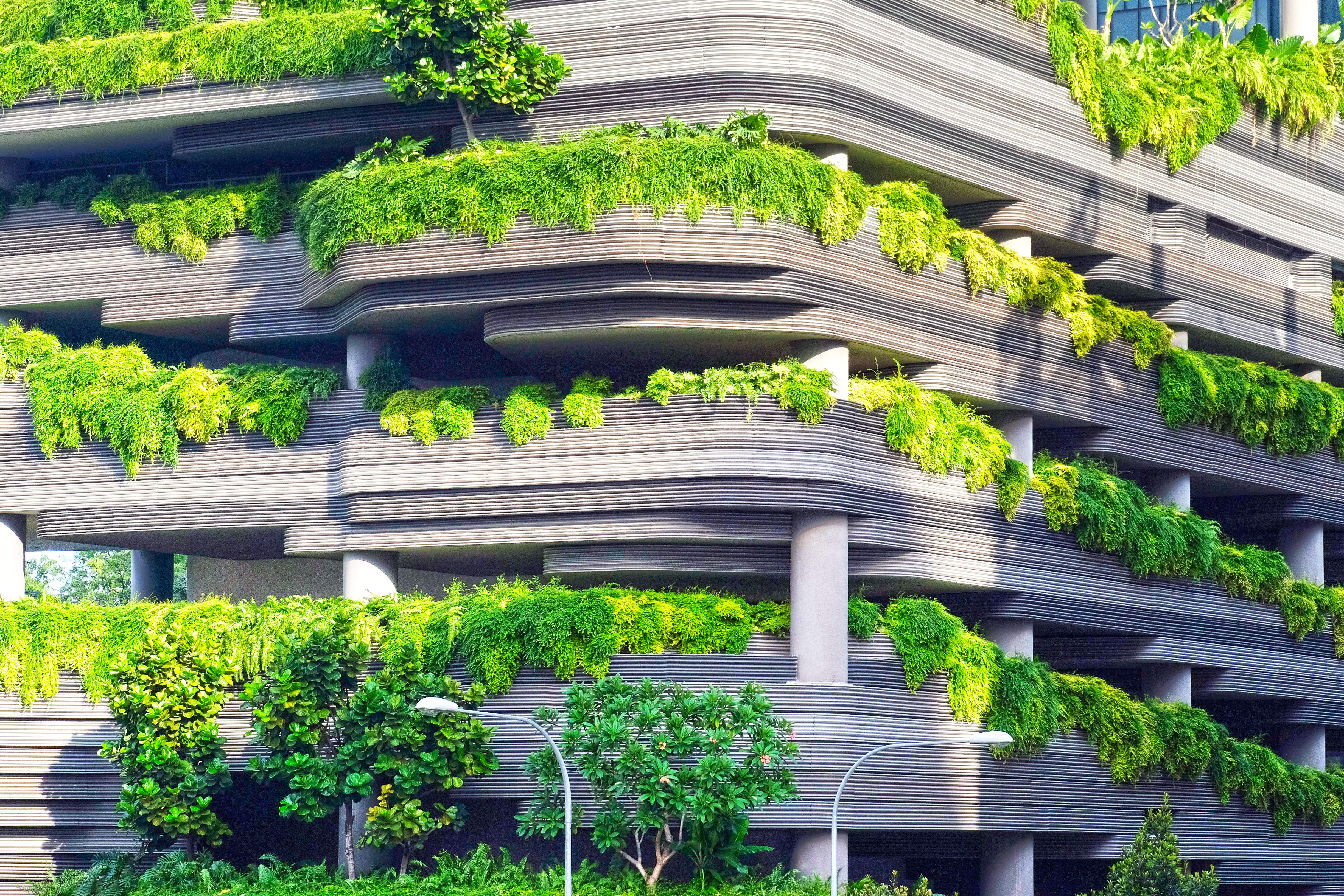 New Study: Better Thinking, Better Health In Green-Certified Buildings